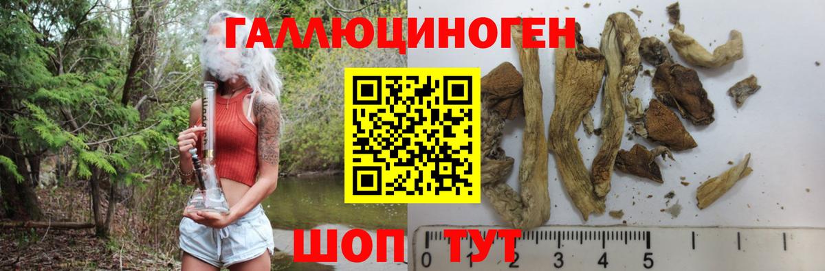 Псилоцибиновые грибы Magic Shrooms Магадан