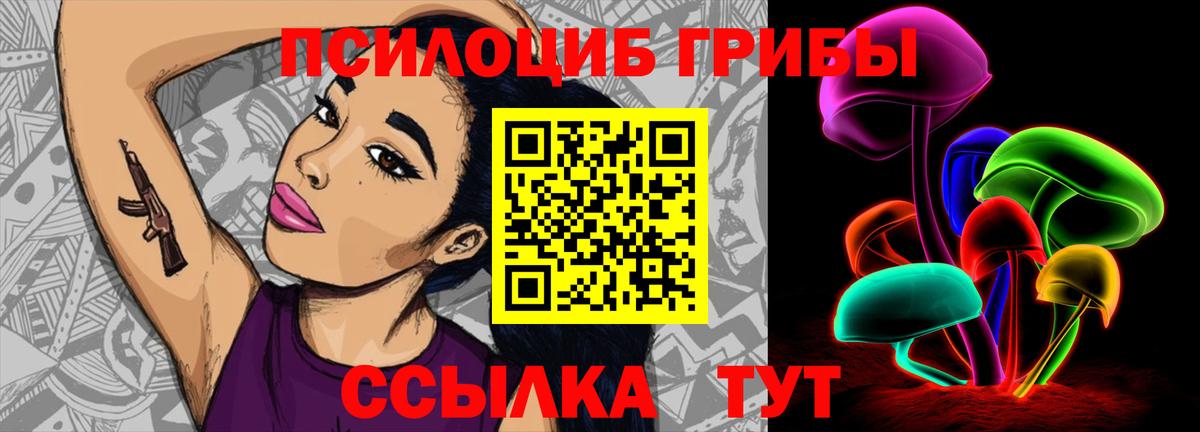 Галлюциногенные грибы Psilocybine cubensis  Вход с VPN  Магадан 
